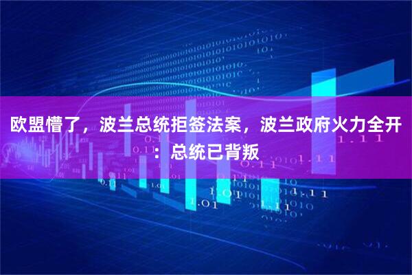 欧盟懵了，波兰总统拒签法案，波兰政府火力全开：总统已背叛