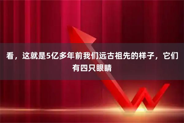 看，这就是5亿多年前我们远古祖先的样子，它们有四只眼睛
