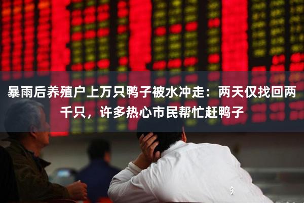 暴雨后养殖户上万只鸭子被水冲走：两天仅找回两千只，许多热心市民帮忙赶鸭子
